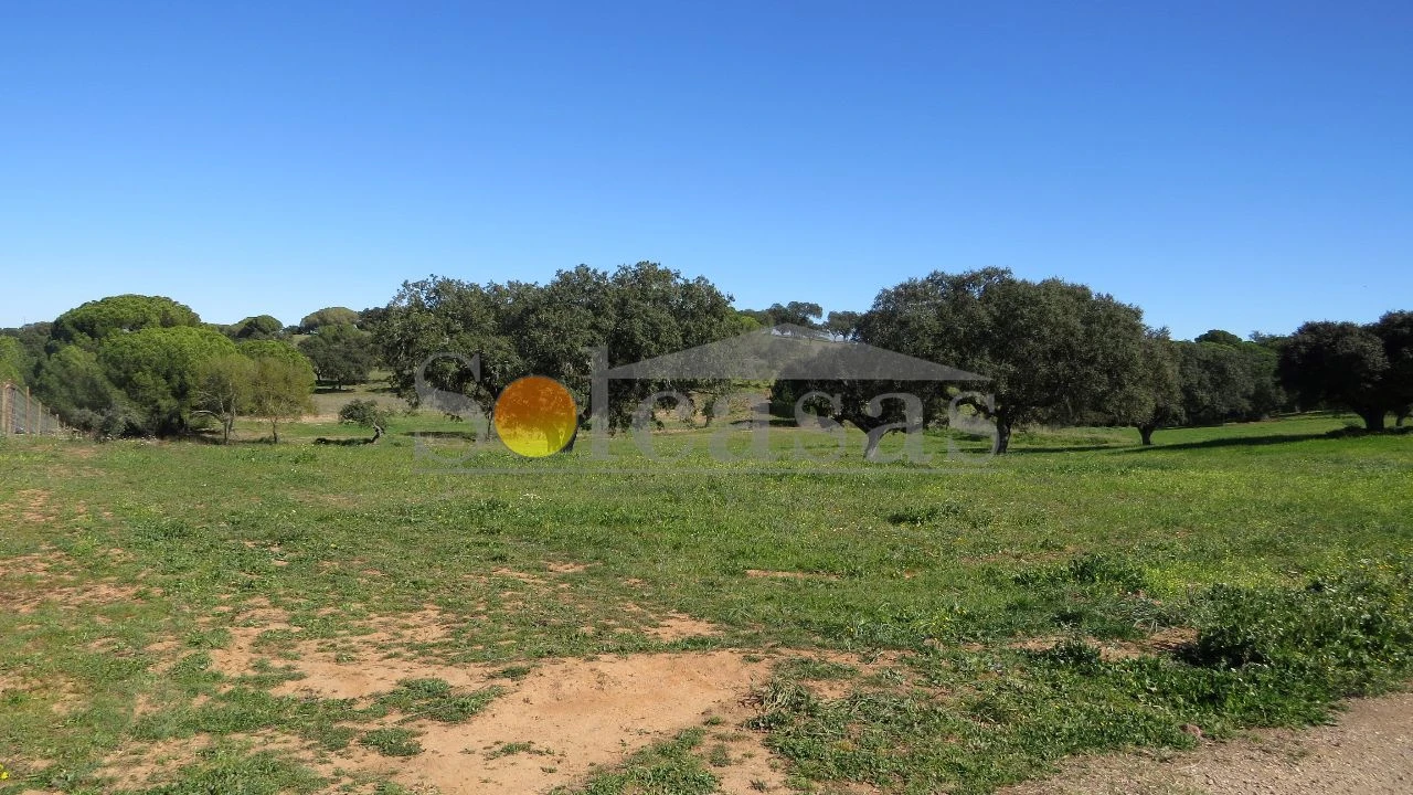 Terreno para Venda em Santa Catarina Foto 4