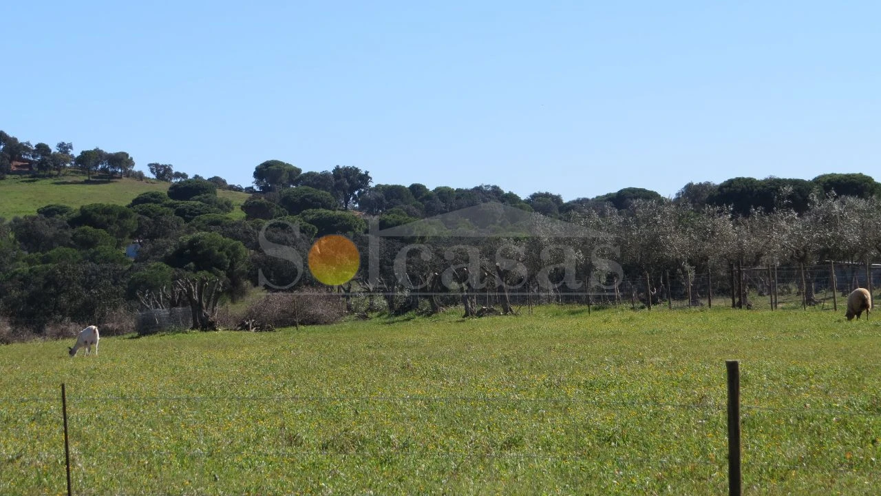 Terreno para Venda em Santa Catarina Foto 2