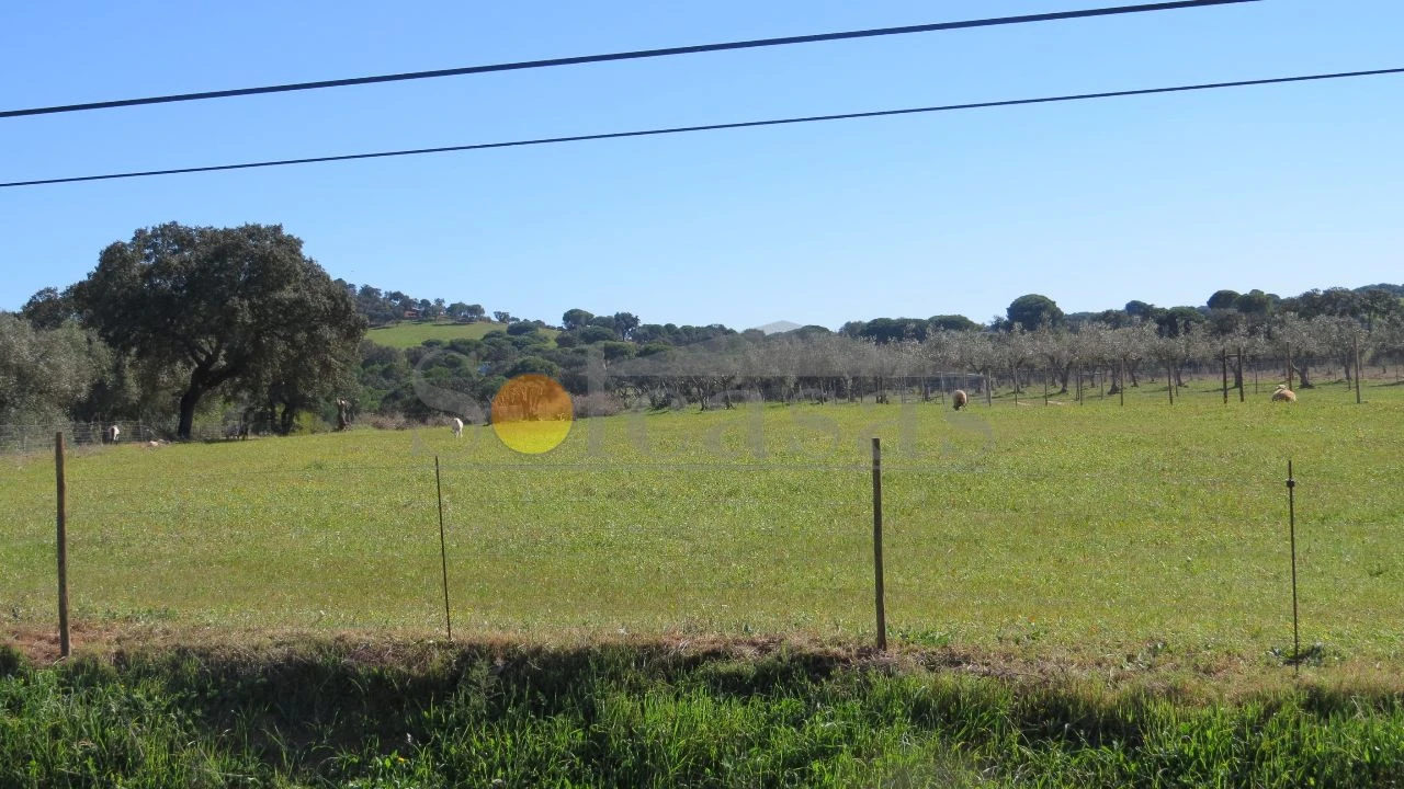 Terreno para Venda em Santa Catarina Foto 3