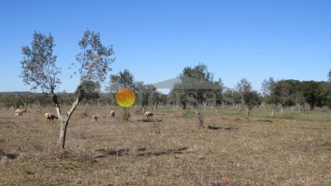 Terreno para Venda em Santa Catarina