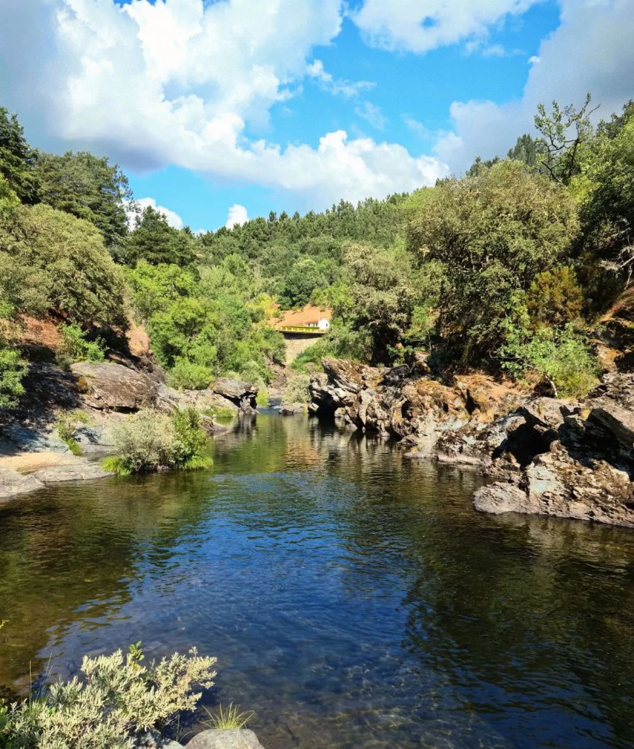 Moradia T2 para Venda em Soeira, Fresulfe e Mofreita, Vinhais Foto 9
