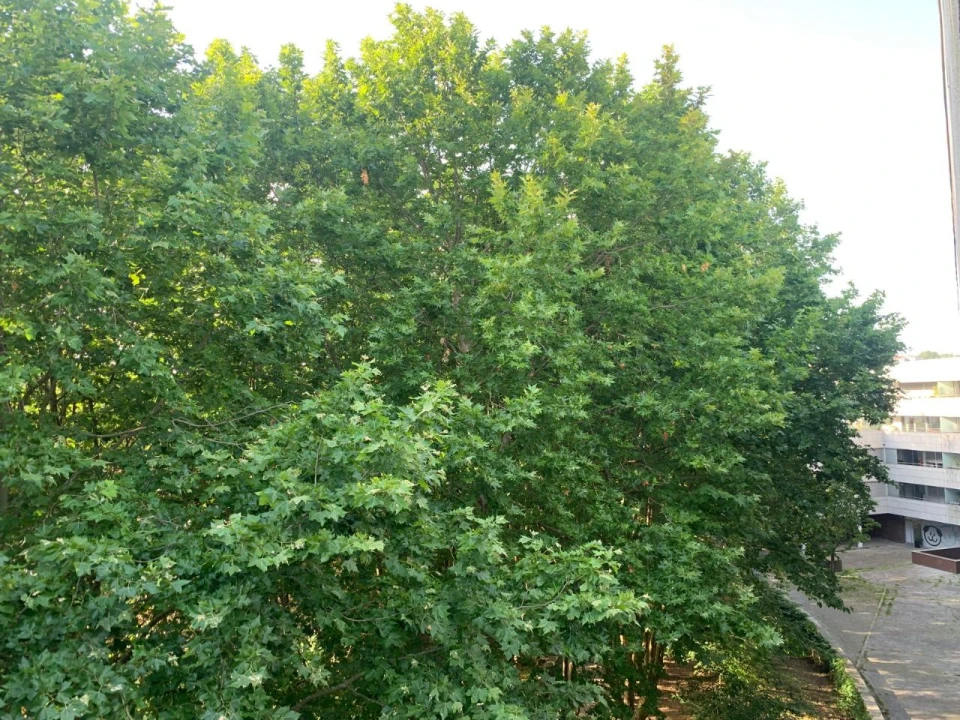 Apartamento T2 para Venda em Porto Foto 33