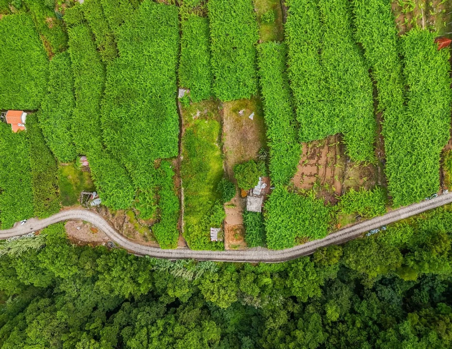 Terreno para Venda em Achada dos Judeus Foto 8