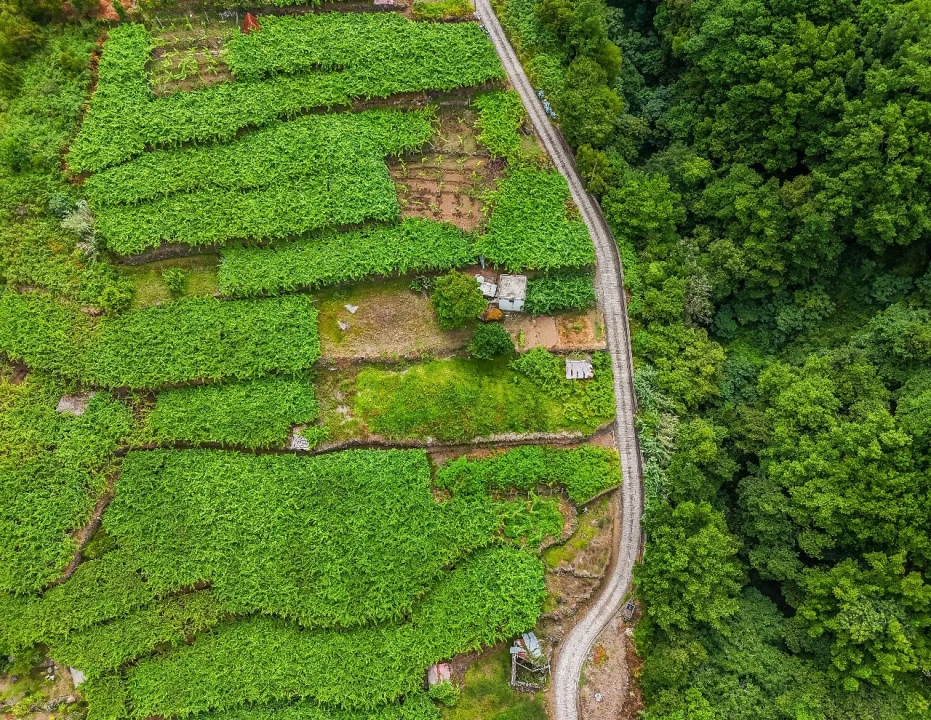 Terreno para Venda em Achada dos Judeus Foto 11