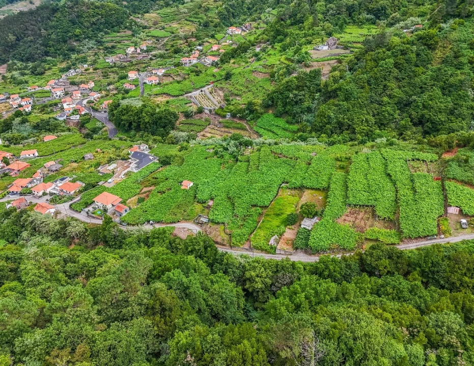Terreno para Venda em Achada dos Judeus Foto 13