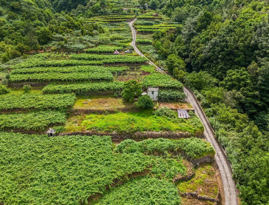 Terreno para Venda em Achada dos Judeus Foto 14