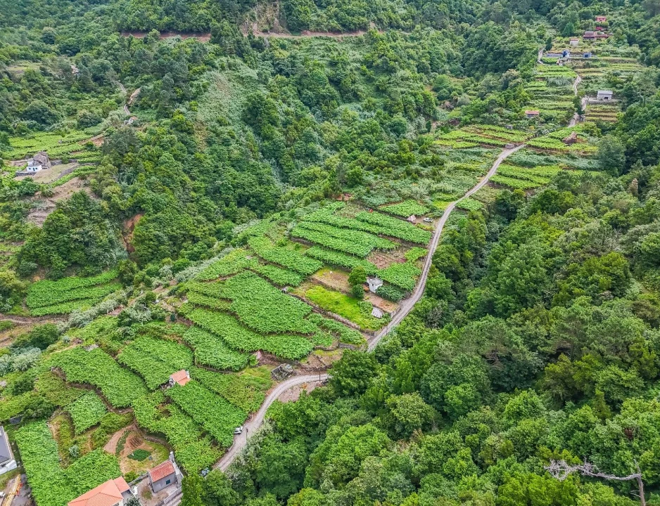 Terreno para Venda em Achada dos Judeus Foto 15