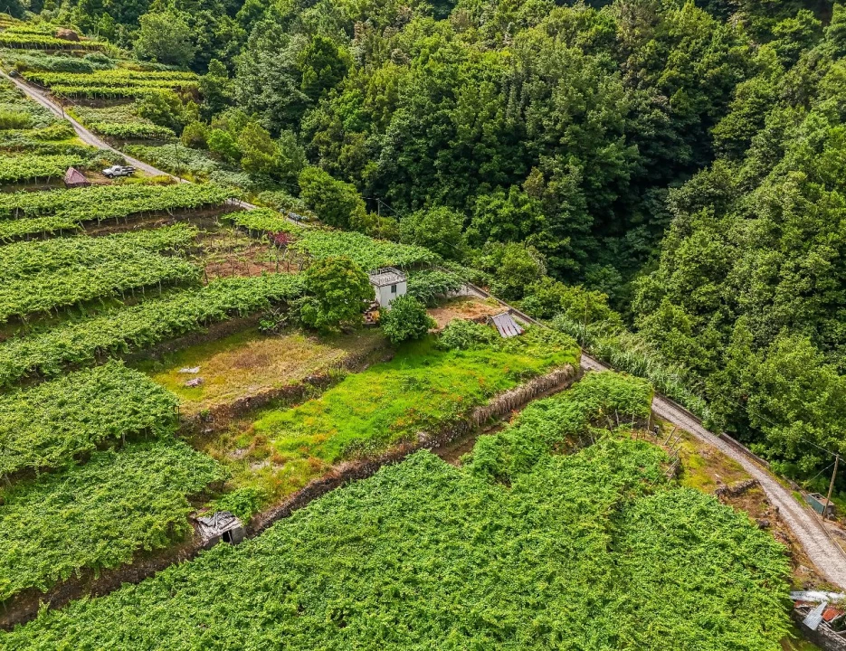 Terreno para Venda em Achada dos Judeus Foto 16