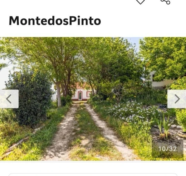Moradia T4 para Arrendamento em Casais da Serra Foto 23