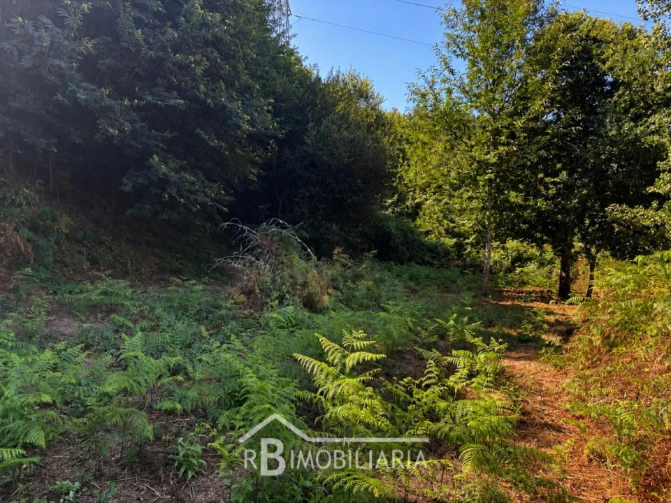 Moradia T3 para Venda em Cela Foto 8