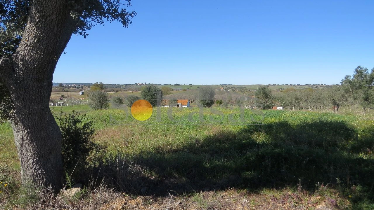 Quinta T2 para Venda em Santa Catarina Foto 5