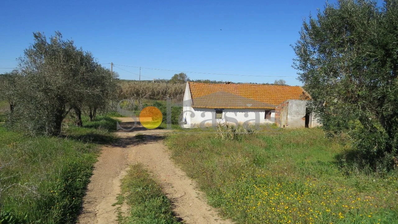Quinta T2 para Venda em Santa Catarina Foto 7
