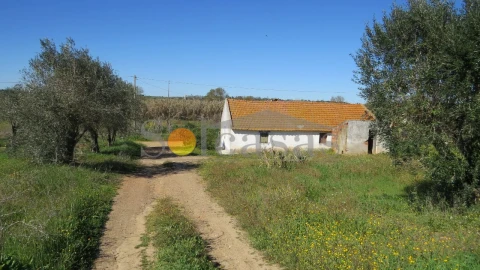 Quinta T2 para Venda em Santa Catarina