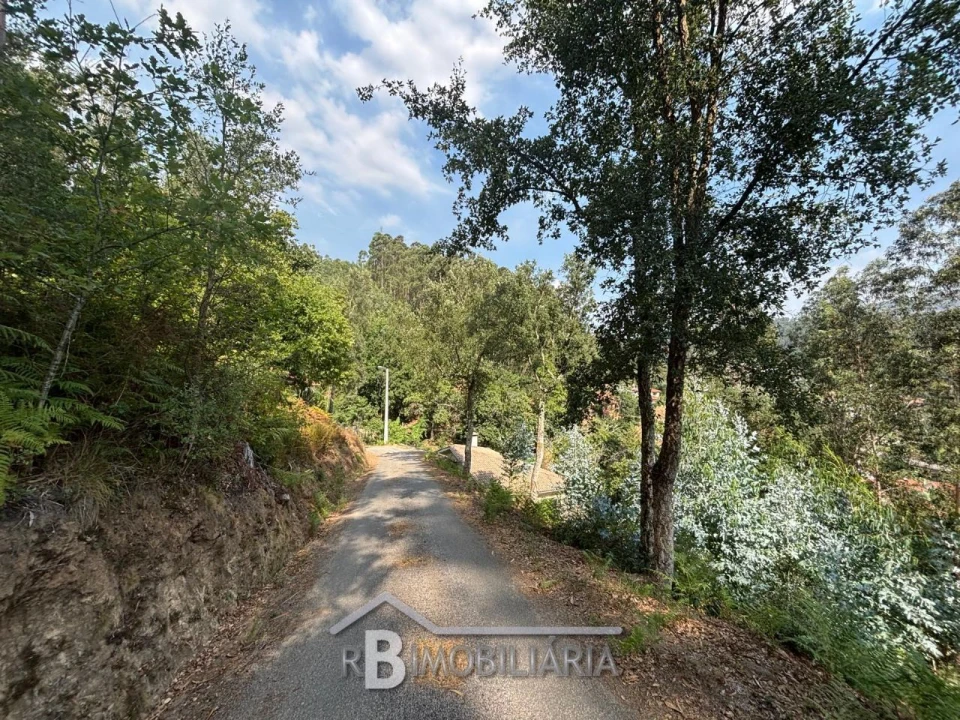 Terreno para Venda em Baladia Foto 1
