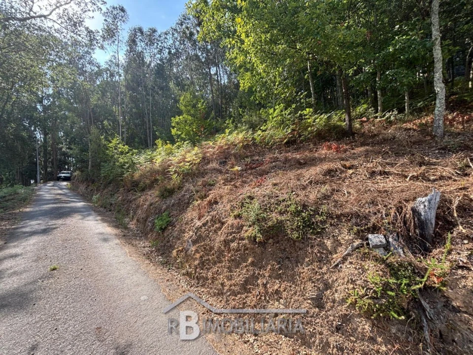 Terreno para Venda em Baladia Foto 2