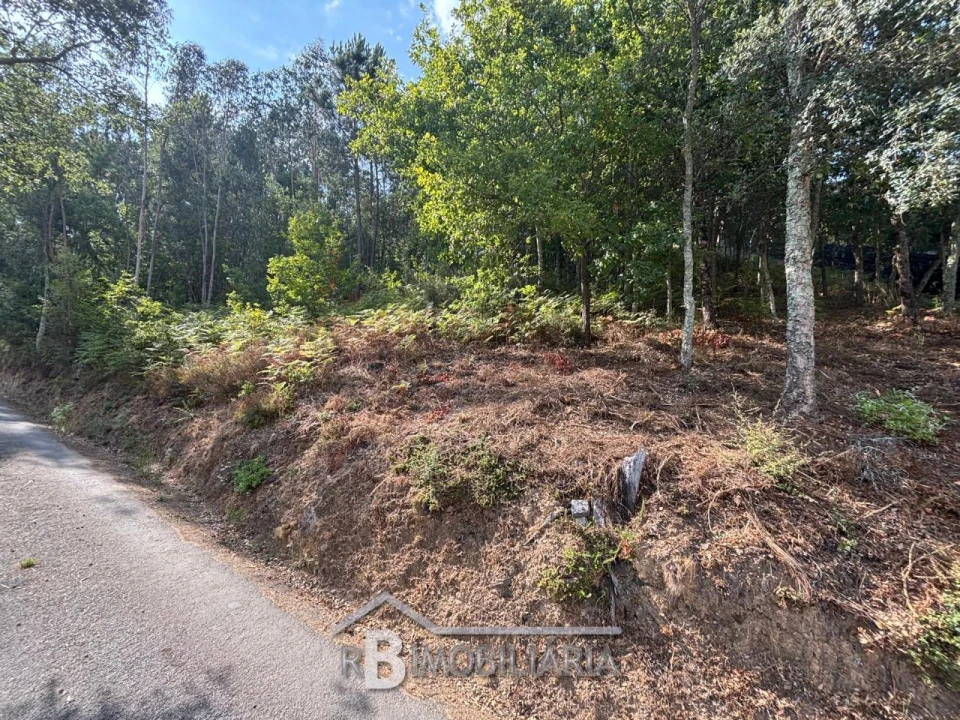 Terreno para Venda em Baladia Foto 3