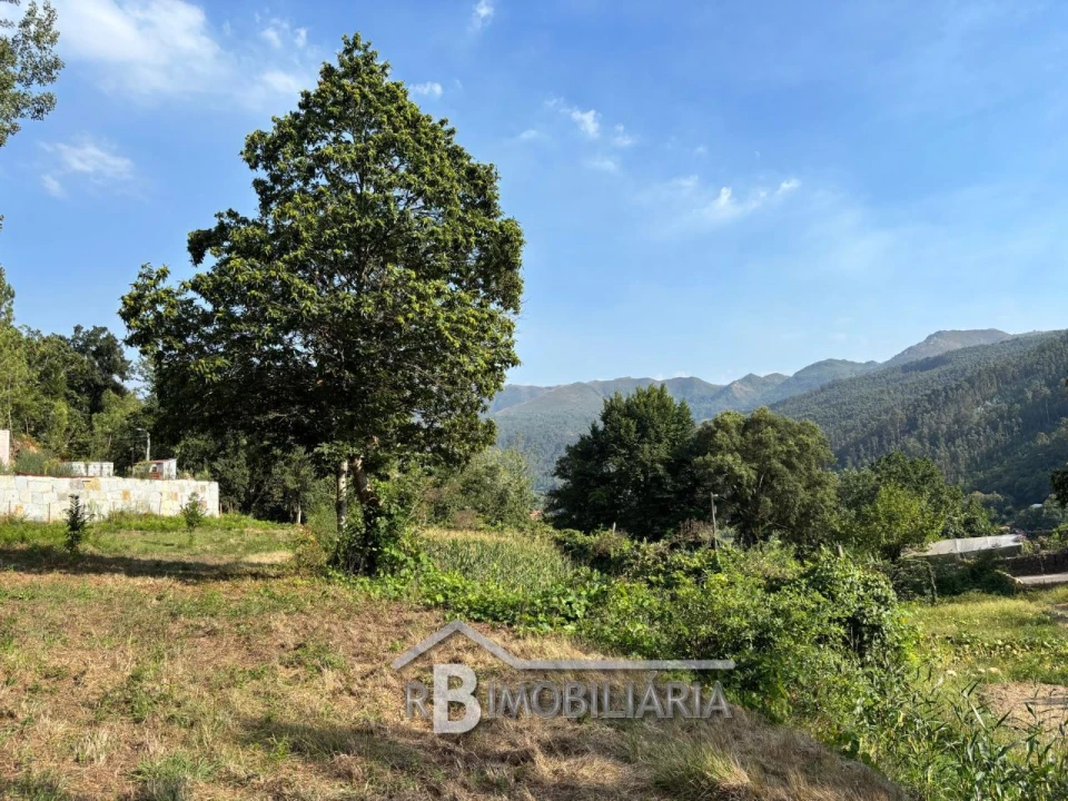Terreno para Venda em Trigal Foto 5