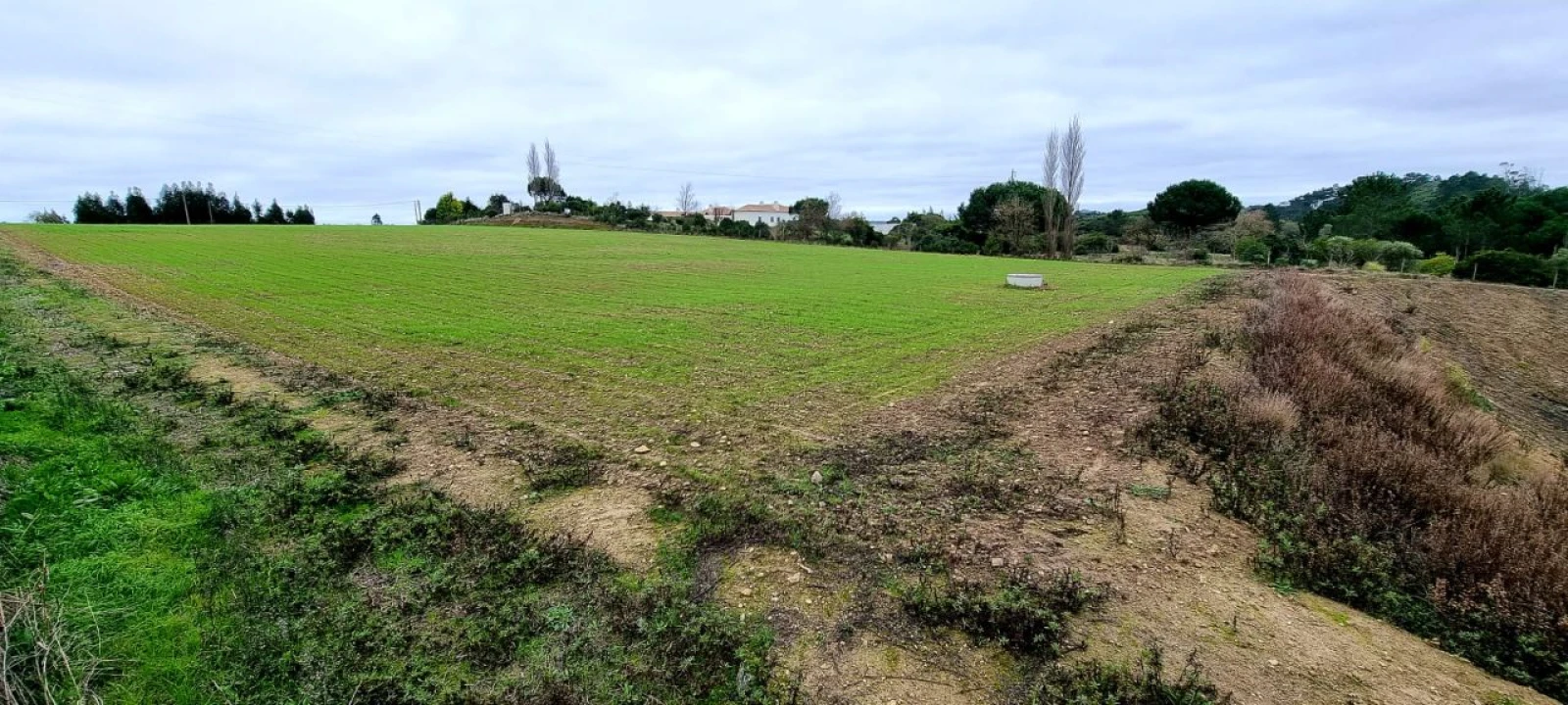 Terreno P/ Prédio para Venda em Trás do Outeiro Foto 2