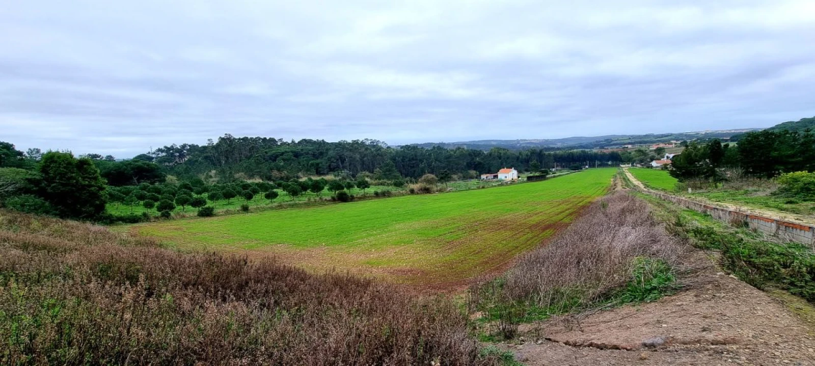 Terreno P/ Prédio para Venda em Trás do Outeiro Foto 4