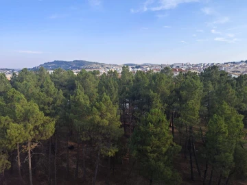 Apartamento T3 para Venda em Bragança