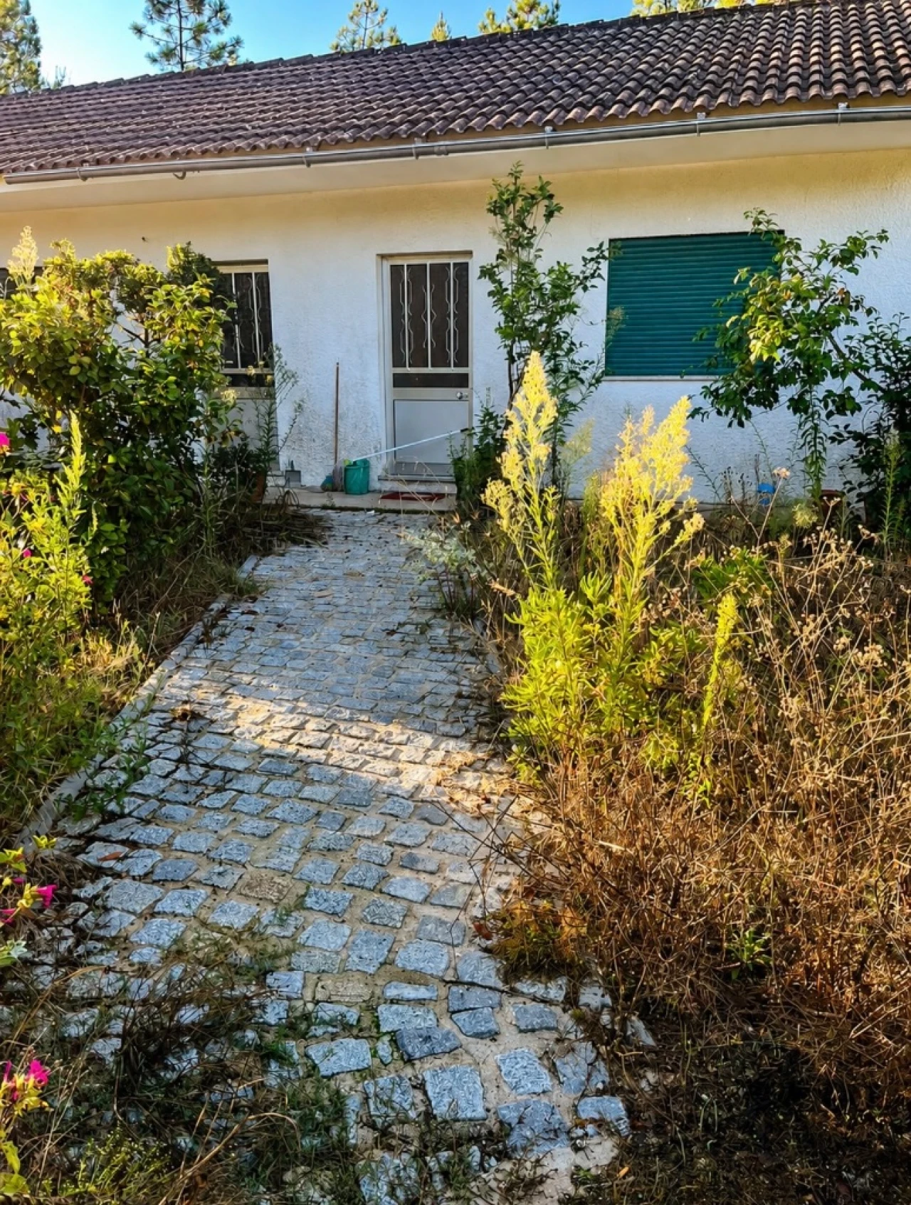 Terreno para Venda em Abrunhosa Foto 2