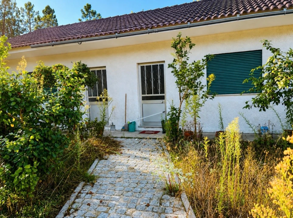 Terreno para Venda em Abrunhosa Foto 1