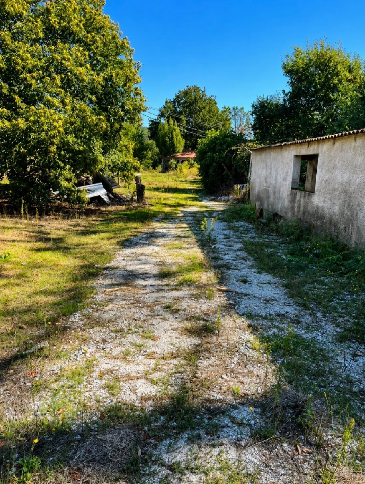 Terreno para Venda em Abrunhosa Foto 3