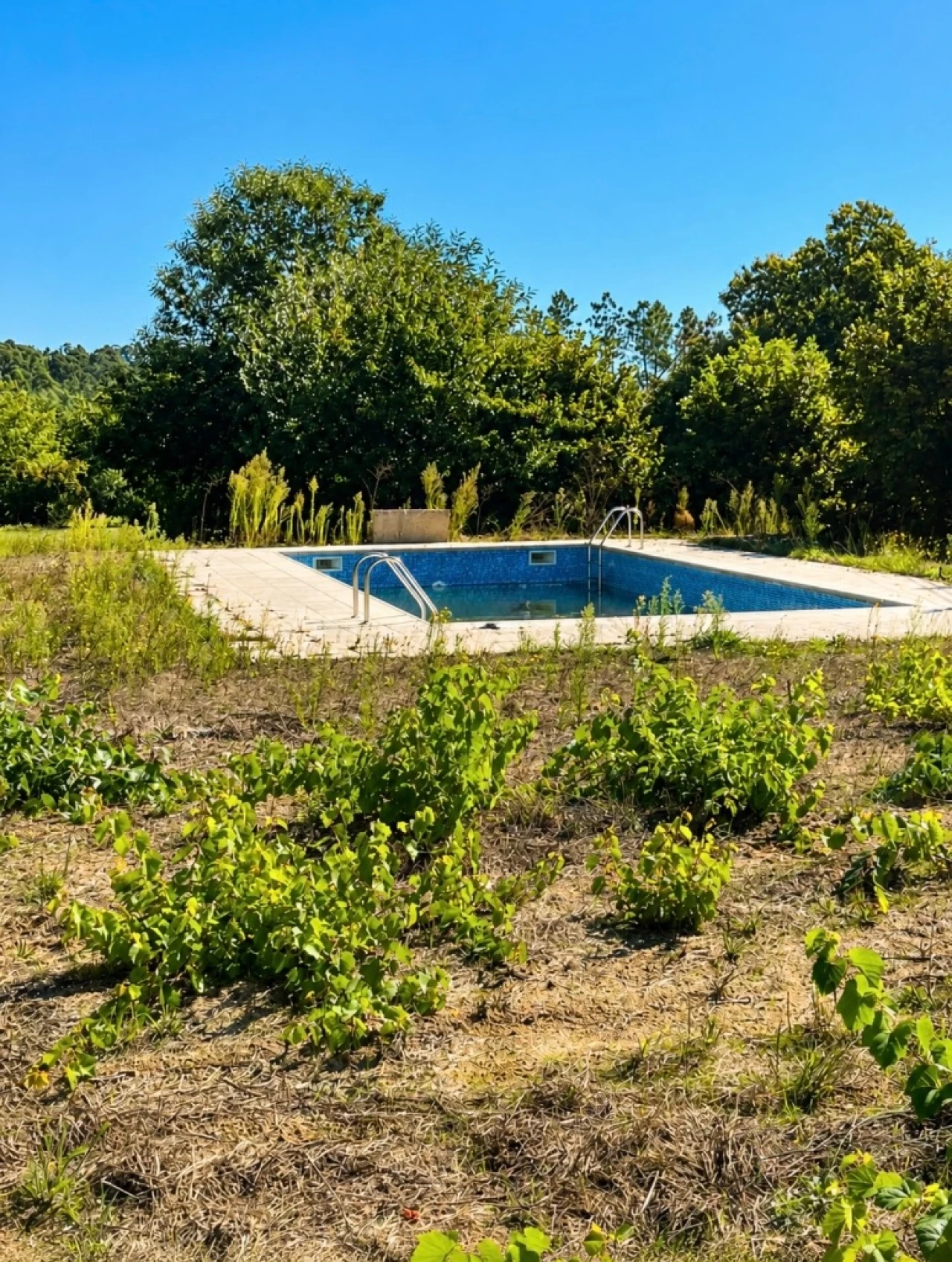 Terreno para Venda em Abrunhosa Foto 7