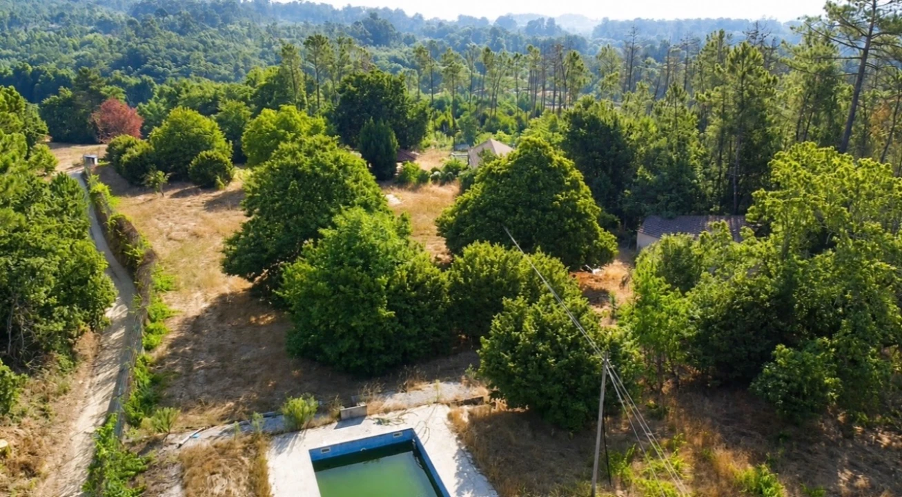 Terreno para Venda em Abrunhosa Foto 5