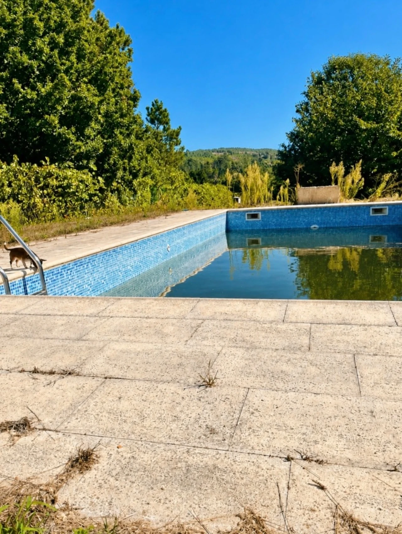 Terreno para Venda em Abrunhosa Foto 8