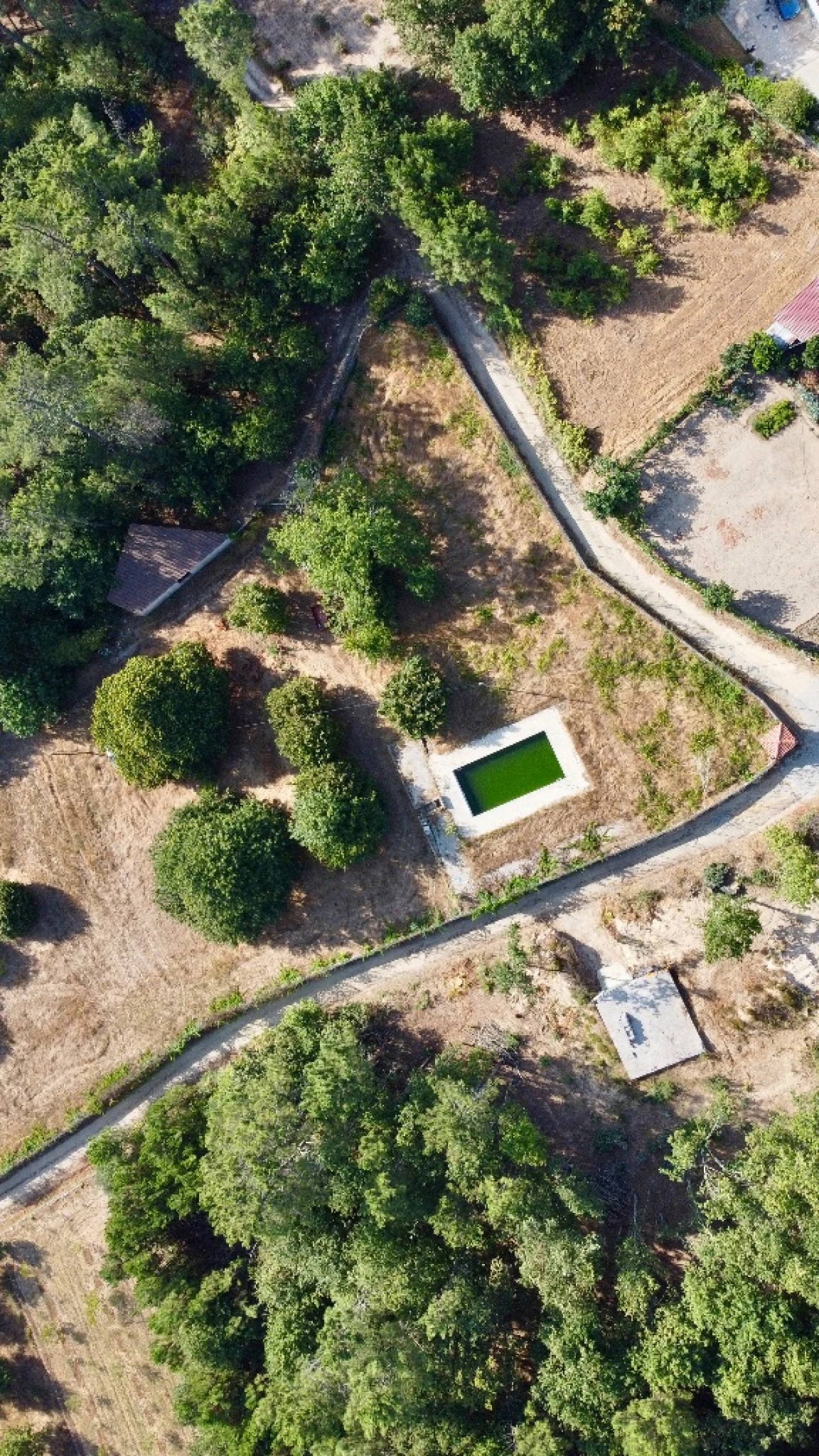 Terreno para Venda em Abrunhosa Foto 9