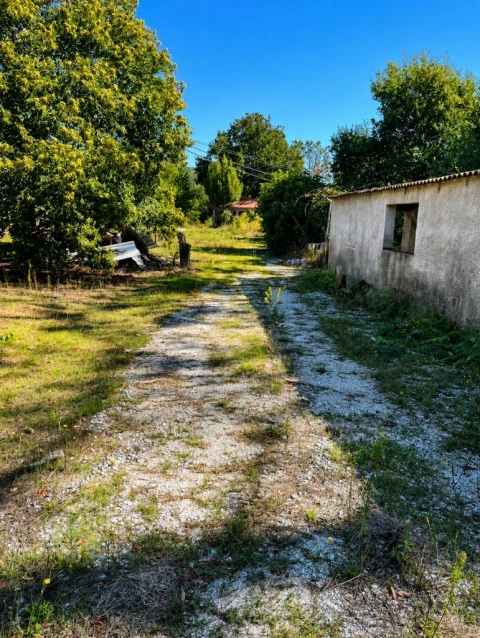 Terreno para Venda em Abrunhosa