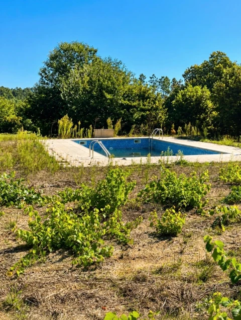 Terreno para Venda em Abrunhosa