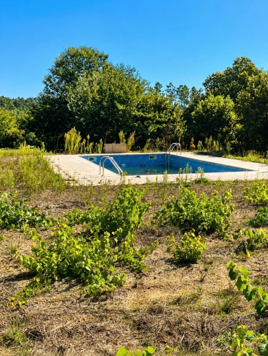 Terreno para Venda em Abrunhosa Foto 7