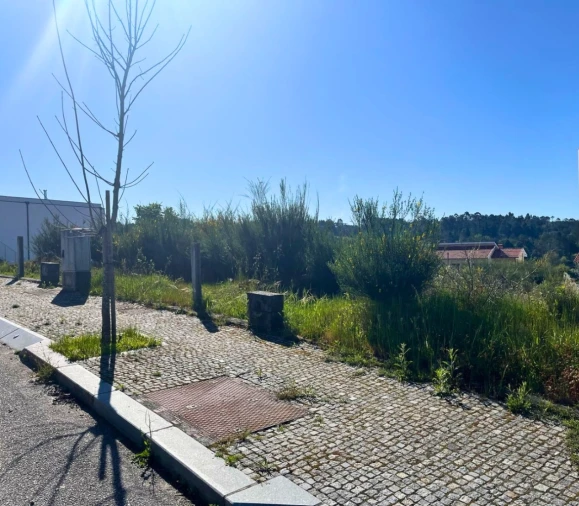Terreno para Venda em Mundão Foto 3