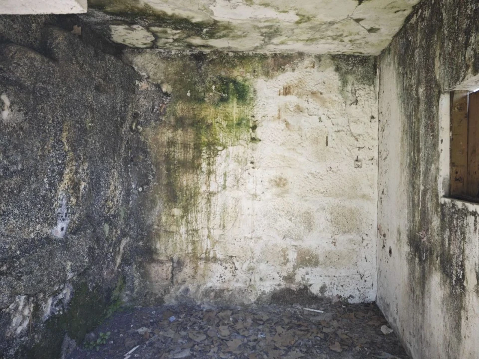 Moradia T2 para Venda em Santa Marinha do Zêzere Foto 8