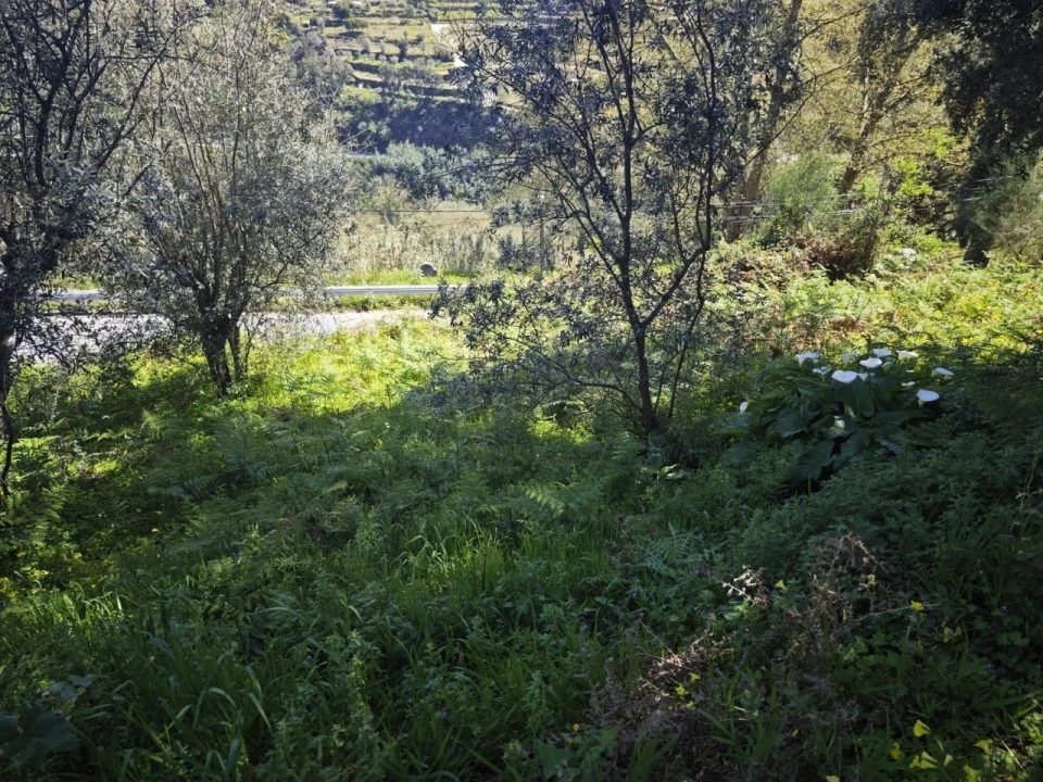 Moradia T2 para Venda em Santa Marinha do Zêzere Foto 18