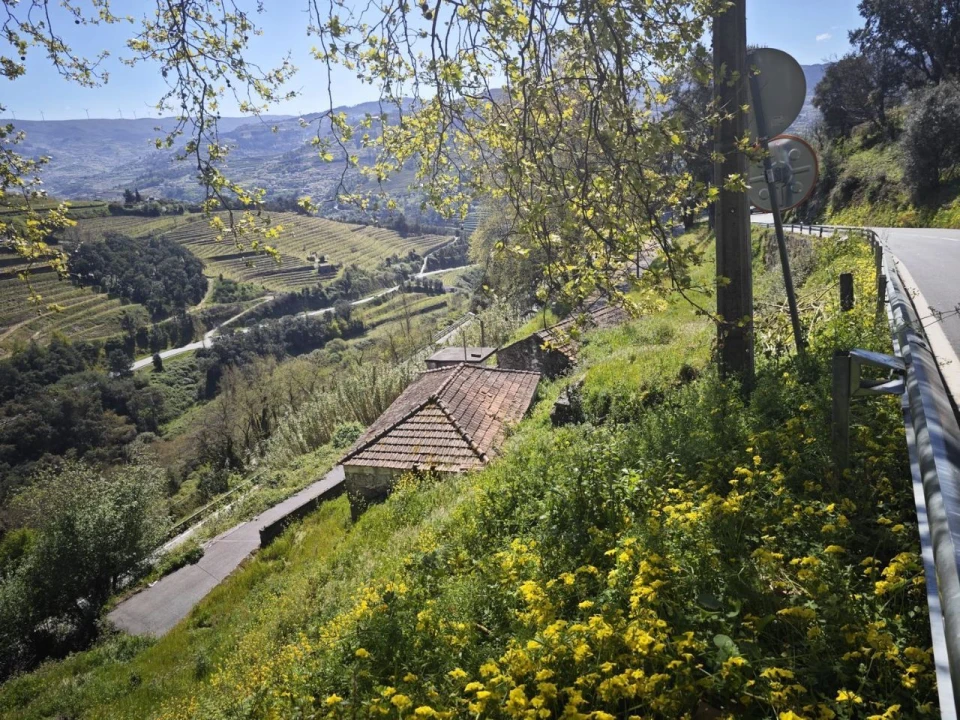 Moradia T2 para Venda em Santa Marinha do Zêzere Foto 20