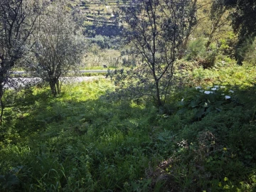 Moradia T2 para Venda em Santa Marinha do Zêzere
