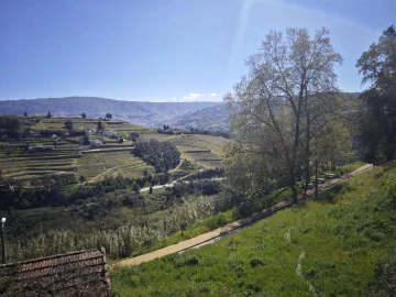 Moradia T2 para Venda em Santa Marinha do Zêzere