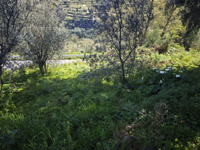 Moradia T2 para Venda em Santa Marinha do Zêzere Foto 18