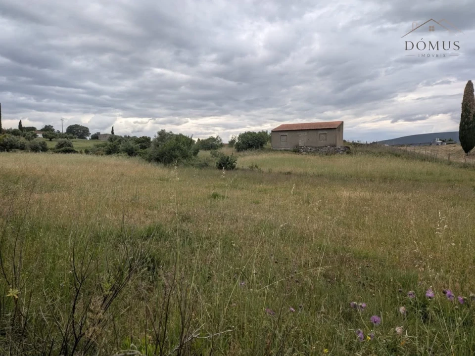 Terreno para Venda em Liteiros Foto 1