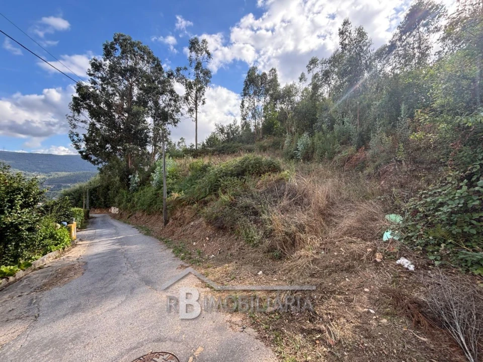 Terreno P/ Prédio para Venda em Amilo Foto 1
