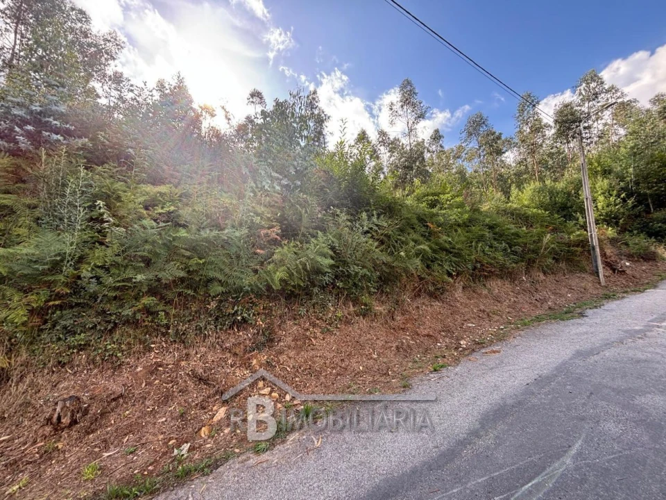 Terreno P/ Prédio para Venda em Amilo Foto 2