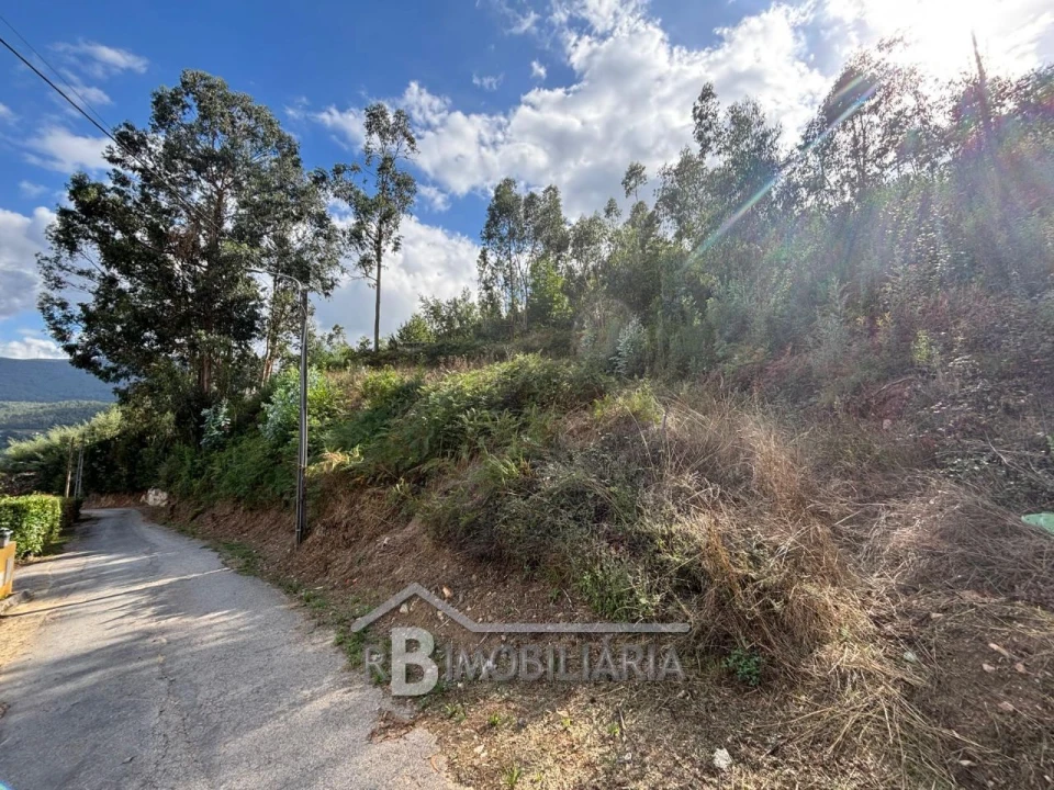 Terreno P/ Prédio para Venda em Amilo Foto 5