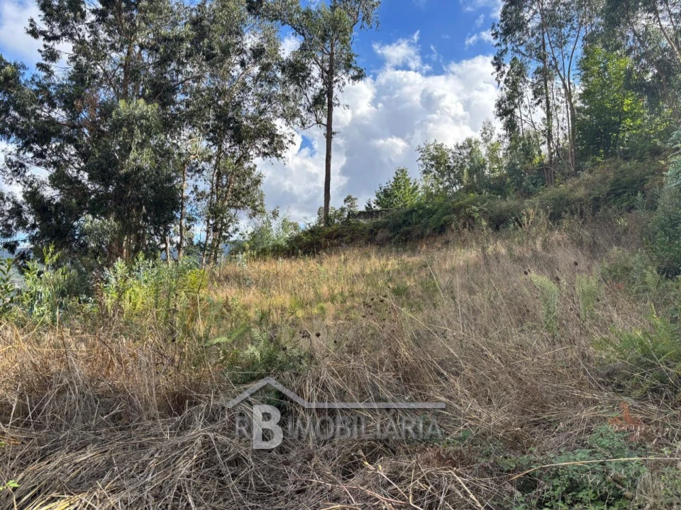 Terreno P/ Prédio para Venda em Amilo Foto 6