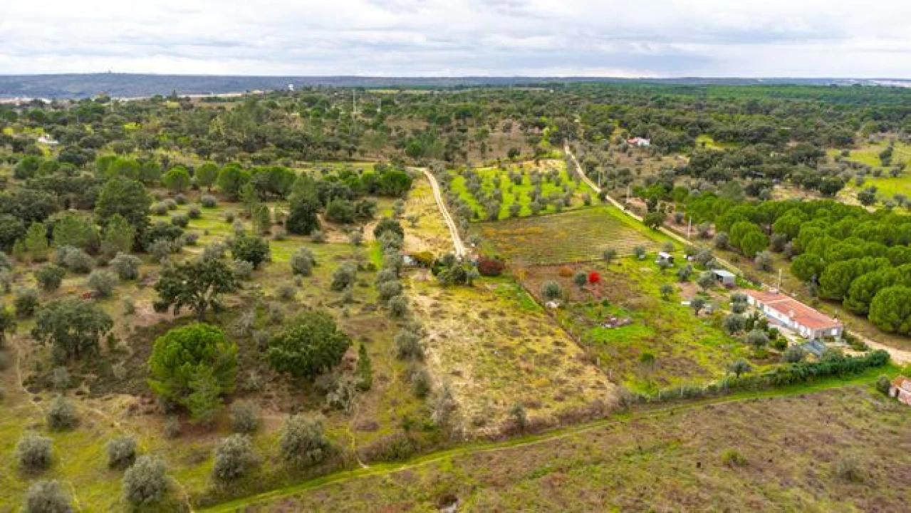 Terreno para Venda em Cabeção Foto 2