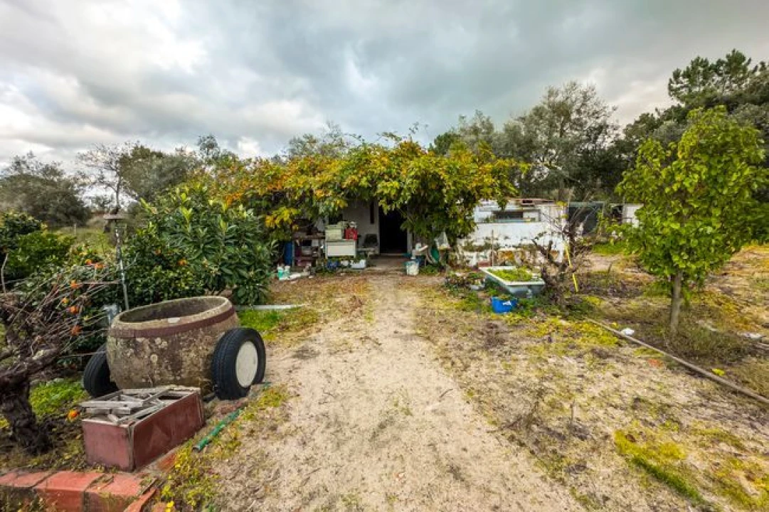 Terreno para Venda em Cabeção Foto 5
