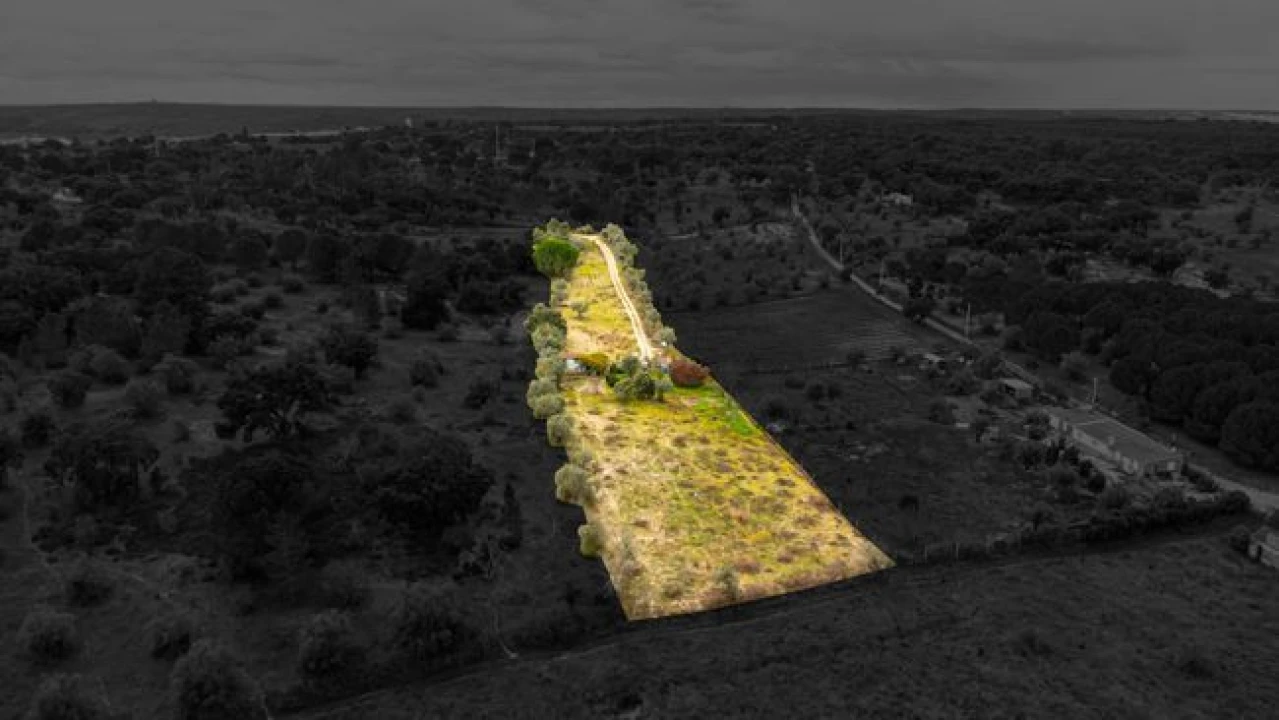 Terreno para Venda em Cabeção Foto 3