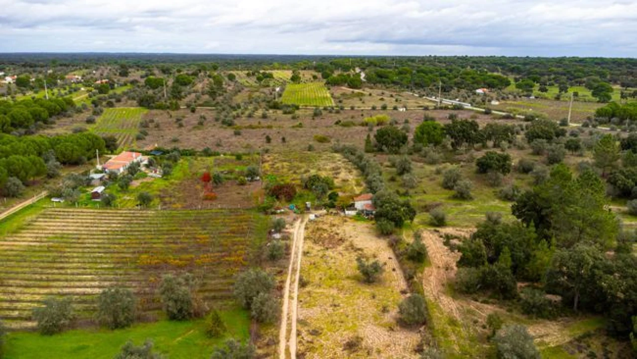 Terreno para Venda em Cabeção Foto 8